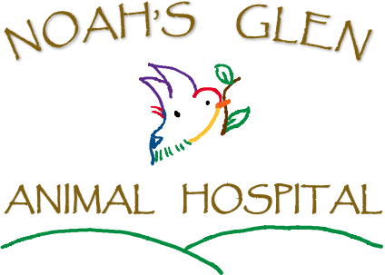 Noah's Glen Animal Hospital logo