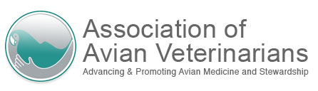 aav logo