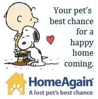 Home Again Banner